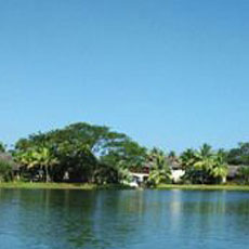 resorts near vembanad lake - zuri kumarakom